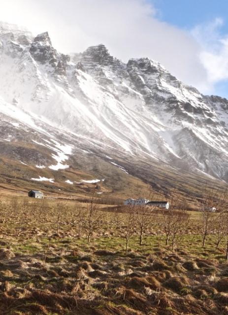 Esjan Villa Kjalarnes Dış mekan fotoğraf