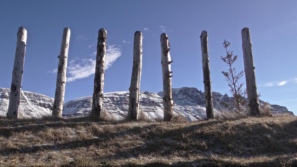 Esjan Villa Kjalarnes Dış mekan fotoğraf